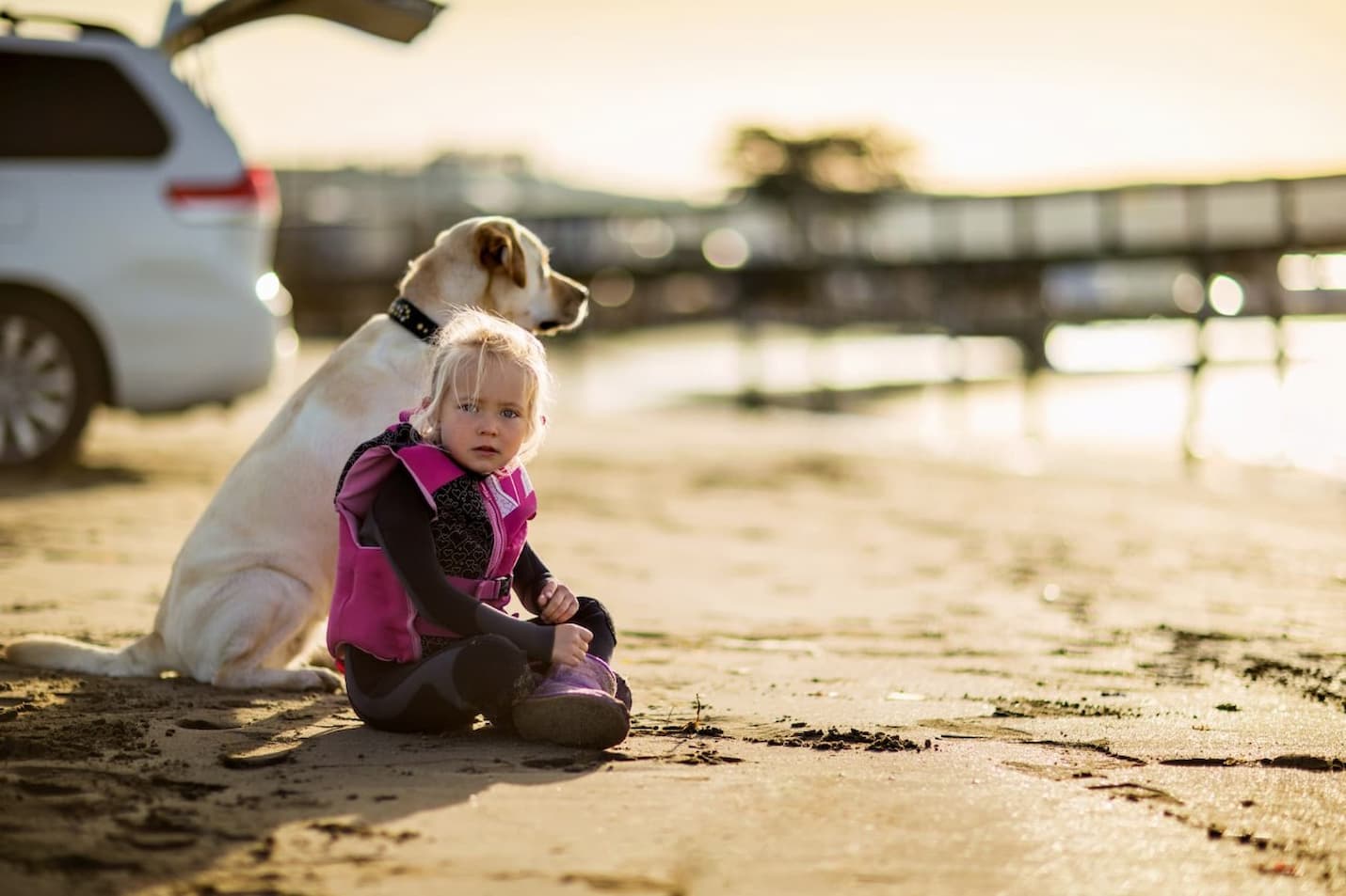 girl and dog on Irish beach in Bray