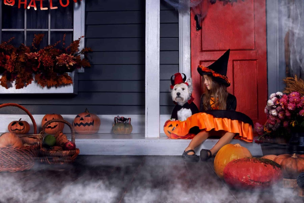 halloween witch costume and dog