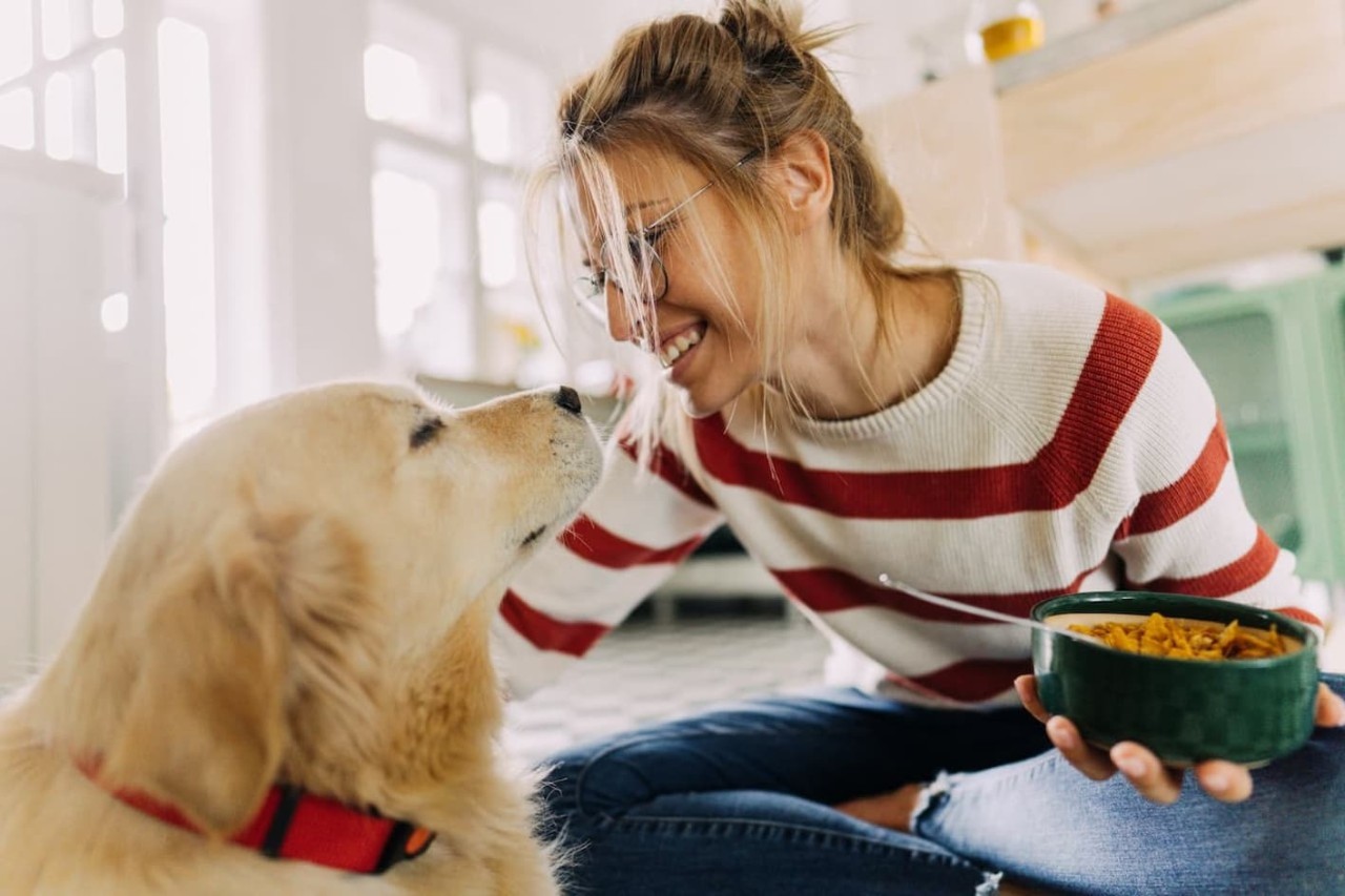 owner eating bowl of cereal with dog