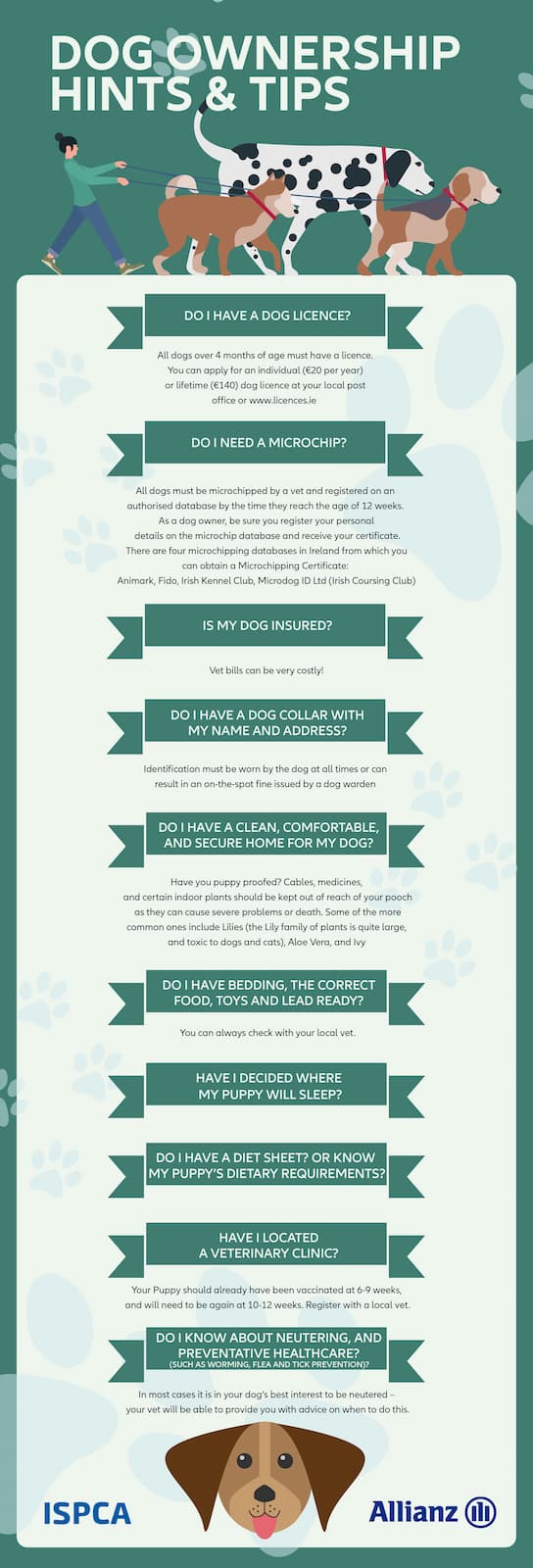 Dog tips poster