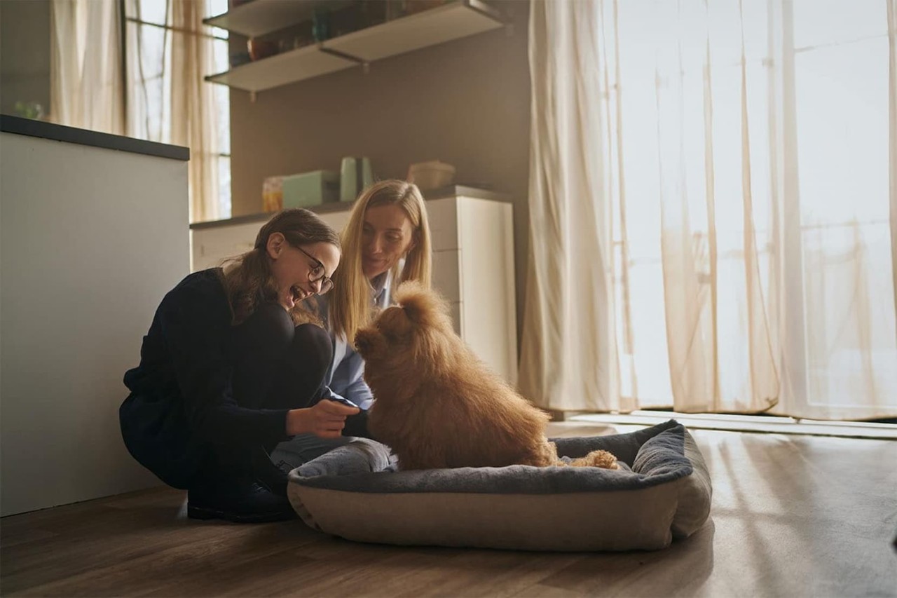 family playing with new puppy